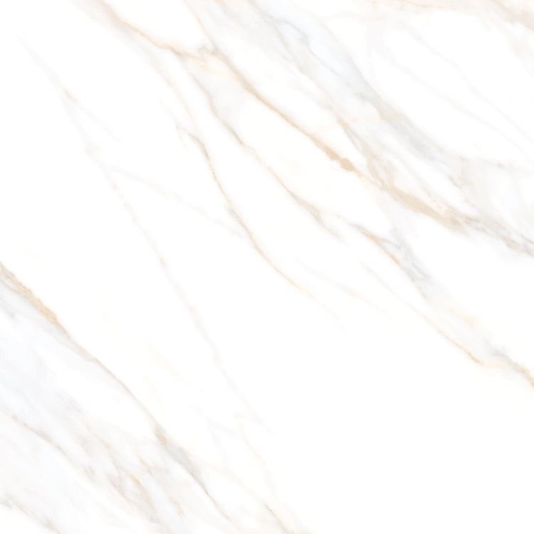Aurum Calacatta Polished 36 x 36